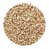 Buckwheat