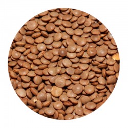 Dried Brown Lentils