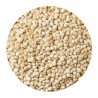 White Sorghum