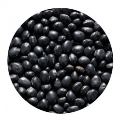 Dried Black Beans