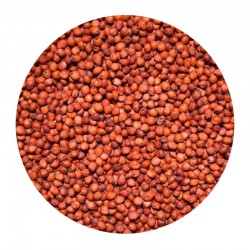 Red Sorghum