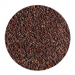 Brown Mustard Seeds