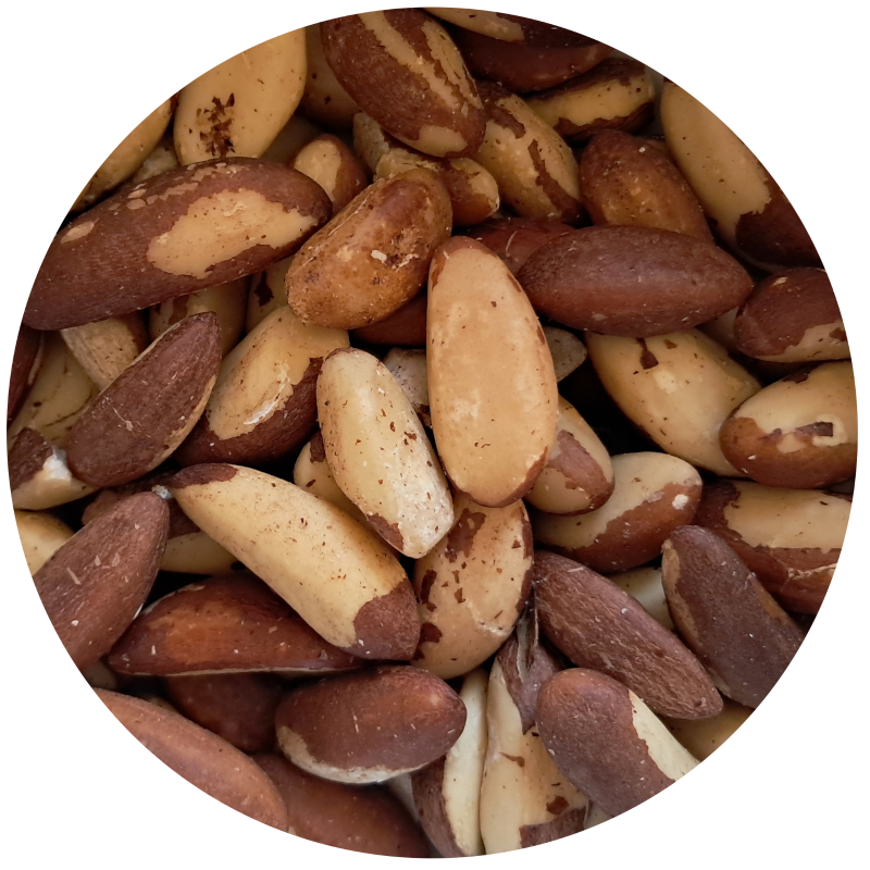 Brazil Nuts