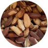 Brazil Nuts